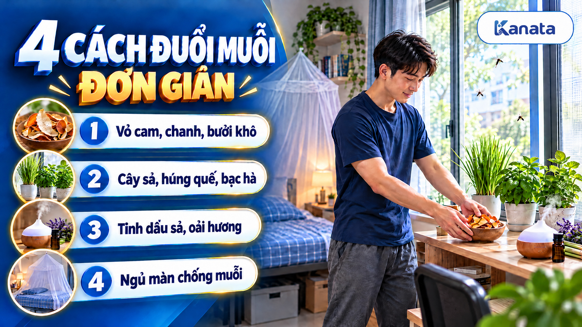 cách đuổi muỗi trong phòng trọ: hình minh họa 1