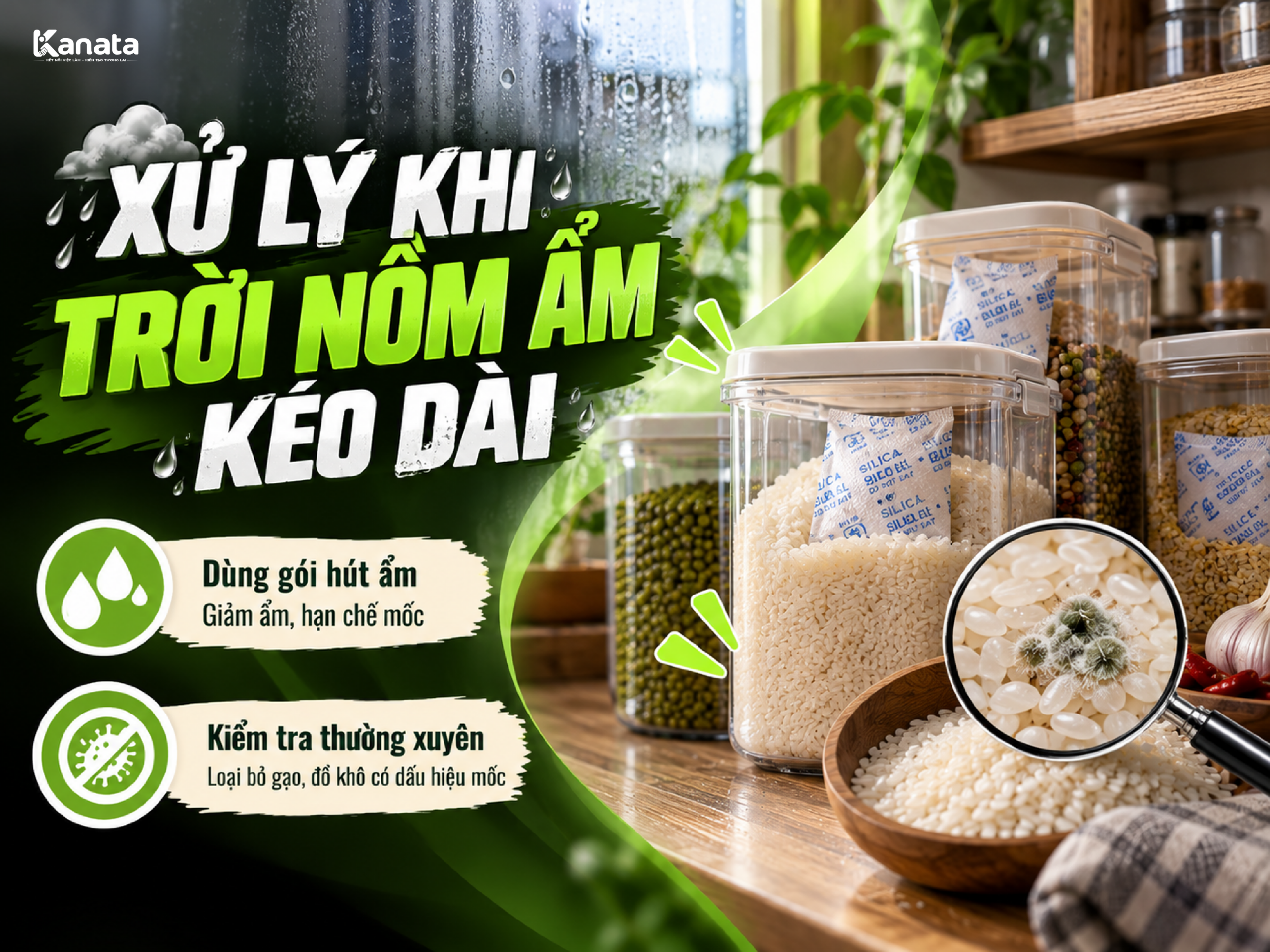 Hộp kín đựng gạo và đồ khô đặt nơi khô ráo mùa nồm