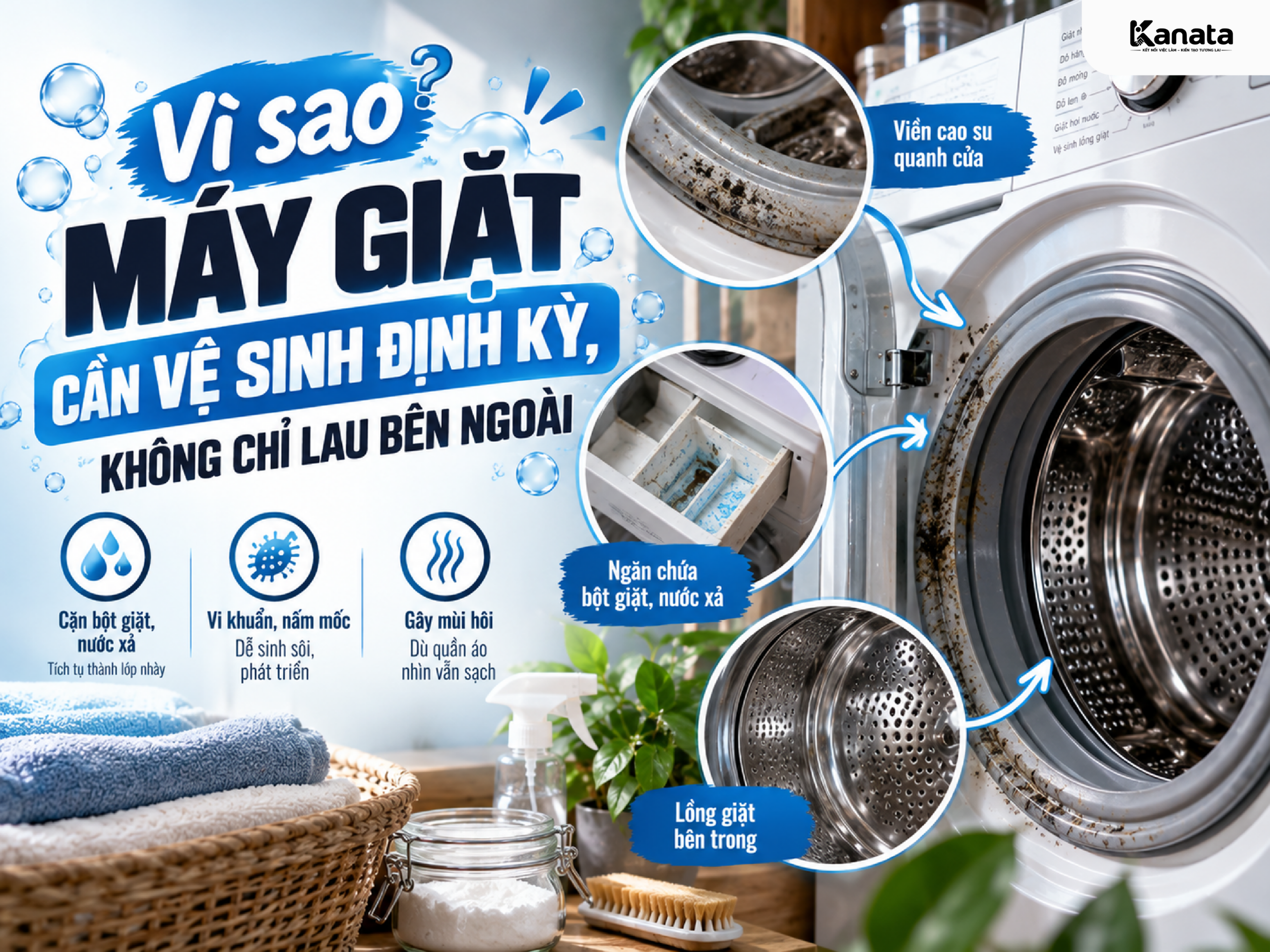 Vệ sinh viền cao su và ngăn đựng bột giặt của máy giặt tại nhà