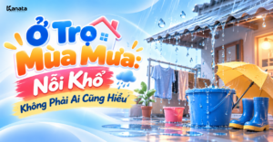 Ở Trọ Mùa Mưa: 4 Nỗi Khổ Và Cách Xoay Xở Của Công Nhân