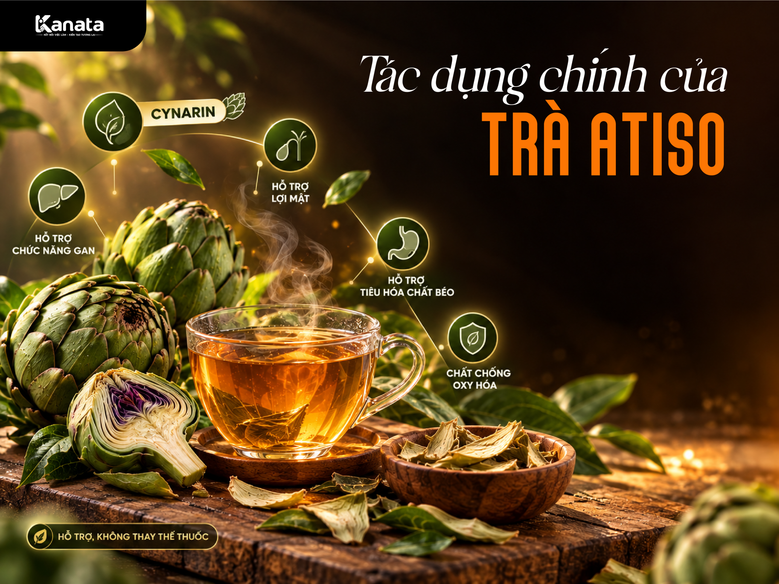 Trà atiso có tác dụng gì: hỗ trợ gan và tiêu hóa